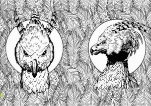Harry Potter Owl Coloring Pages Harry Potter Magical Creatures Colouring Petition