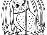 Harry Potter Owl Coloring Pages Harry Potter Owl Coloring Page Random