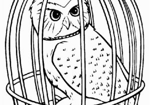 Harry Potter Owl Coloring Pages Harry Potter Owl Coloring Page Random