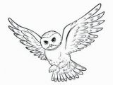 Harry Potter Owl Coloring Pages Pin Auf Ð¥Ð¾Ð³Ð²Ð°ÑÑÑ