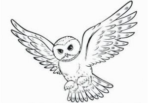 Harry Potter Owl Coloring Pages Pin Auf Ð¥Ð¾Ð³Ð²Ð°ÑÑÑ