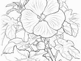 Hawaii State Tree Coloring Page Hawaii Drawing at Getdrawings