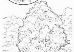 Hawaii State Tree Coloring Page State Flower Coloring Pages West Virginia State Flower Coloring Page