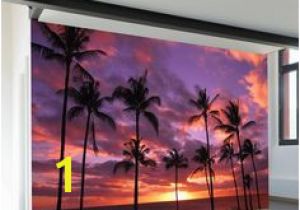 Hawaiian Beach Wall Murals 16 Best Beach Mural Ideas Images