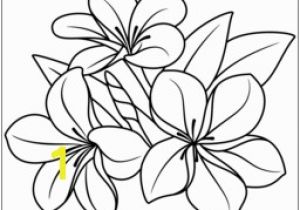 Hawaiian Flower Coloring Pages Flower Page Printable Coloring Sheets