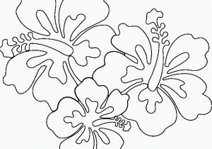 Hawaiian Flower Coloring Pages Hawaii Coloring Pages Hawaiian Flower Coloring Page Beautiful