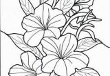 Hawaiian Flower Coloring Pages Hawaii Coloring Pages New S S Media Cache Ak0 Pinimg originals 0d 1d