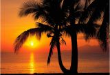 Hawaiian Sunset Wall Mural Pin by Anita Vollenweider On Tropical Vacations