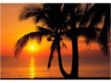 Hawaiian Sunset Wall Mural Pin by Anita Vollenweider On Tropical Vacations