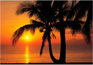 Hawaiian Sunset Wall Mural Pin by Anita Vollenweider On Tropical Vacations