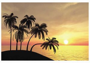Hawaiian Sunset Wall Mural Sunset Beach Backdrop Costume Ideas