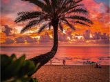 Hawaiian Sunset Wall Mural Tropical Sunset ð by Crisp Artography