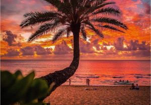 Hawaiian Sunset Wall Mural Tropical Sunset ð by Crisp Artography