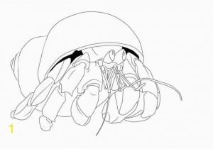 Hermit Crab Coloring Page Eric Carle Free Crabs Coloring Pages for Kids