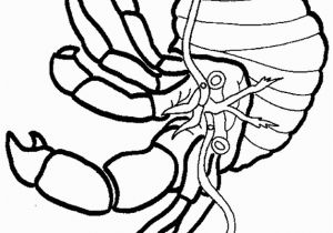 Hermit Crab Coloring Page Eric Carle Free Eric Carle Coloring Pages Coloring Home