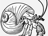 Hermit Crab Coloring Page Eric Carle Graphic Black and White Stock Drawing Crabs Hermit