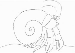 Hermit Crab Coloring Page Eric Carle Hermit Crab Clipart Eric Carle Pencil and In Color