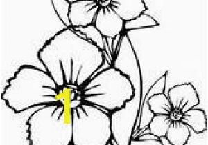 Hibiscus Flower Coloring Page Big Flower Colouring Pages