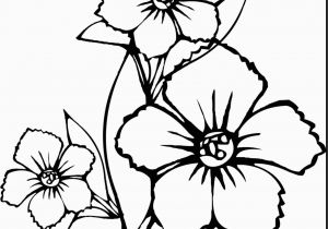 Hibiscus Flower Coloring Page Coloring Pages Birds and Flowers