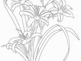 Hibiscus Flower Coloring Page Image Result for Day Lily Sketches Watercolor