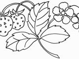 Hibiscus Flower Coloring Page New Coloring Pages Strawberry Flower Page Printable