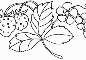 Hibiscus Flower Coloring Page New Coloring Pages Strawberry Flower Page Printable