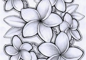 Hibiscus Flower Coloring Page Tattoosonback