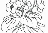 Hibiscus Flower Coloring Page Violet Flower Coloring Page Free Printable Coloring Pages