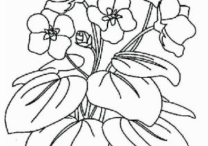 Hibiscus Flower Coloring Page Violet Flower Coloring Page Free Printable Coloring Pages