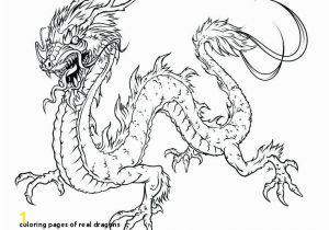 Hideous Zippleback Coloring Pages Coloring Pages Real Dragons Hideous Zippleback Coloring Pages