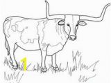 Highland Cow Coloring Page 111 Best Bull Coloring Pages Images