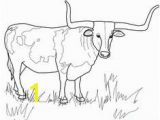 Highland Cow Coloring Page 111 Best Bull Coloring Pages Images