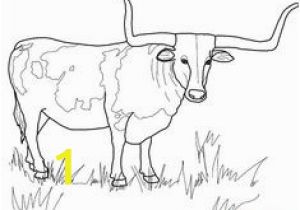 Highland Cow Coloring Page 111 Best Bull Coloring Pages Images