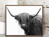 Highland Cow Coloring Page Buffalo Print Print In the 20×30 Size and Frame In A Walnut