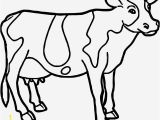 Highland Cow Coloring Page Cute Cow Coloring Pages Ideas