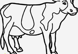 Highland Cow Coloring Page Cute Cow Coloring Pages Ideas