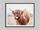 Highland Cow Coloring Page Highland Cow Print Highland Cow Poster Cow Wall Art Highland Bull Farm Animals Prints Modern Wall Art Kids Room Printable Art