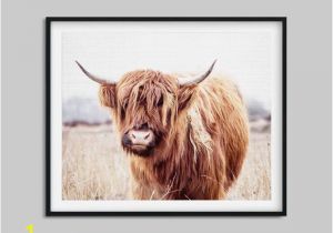 Highland Cow Coloring Page Highland Cow Print Highland Cow Poster Cow Wall Art Highland Bull Farm Animals Prints Modern Wall Art Kids Room Printable Art