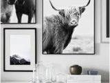 Highland Cow Wall Mural 91 Best Highland Cow Home Decor Images