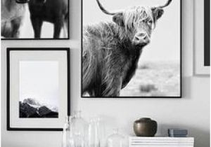 Highland Cow Wall Mural 91 Best Highland Cow Home Decor Images