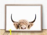 Highland Cow Wall Mural 91 Best Highland Cow Home Decor Images