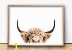 Highland Cow Wall Mural 91 Best Highland Cow Home Decor Images