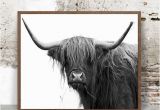 Highland Cow Wall Mural Buffalo Print Print In the 20×30 Size and Frame In A Walnut