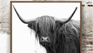 Highland Cow Wall Mural Buffalo Print Print In the 20×30 Size and Frame In A Walnut