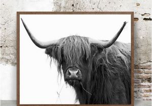 Highland Cow Wall Mural Buffalo Print Print In the 20×30 Size and Frame In A Walnut