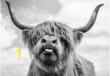 Highland Cow Wall Mural Highland Cow Wall Art Large A3 Size Quality Canvas Print
