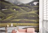 Home Wall Mural Ideas 11 R Than Life Wall Murals