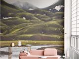 Home Wall Mural Ideas 11 R Than Life Wall Murals