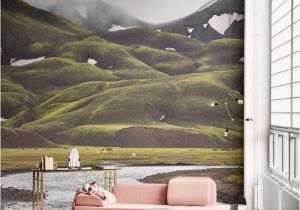 Home Wall Mural Ideas 11 R Than Life Wall Murals