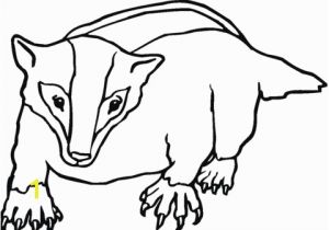 Honey Badger Coloring Page American Badger Coloring Page